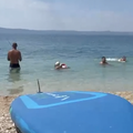 VIDEO 'Biser' s plaže u Tučepima: 'On peca u plićaku, baš njega briga za kupače!'