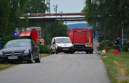Požar u Slavonskom Brodu: U krugu tvornice planuli trupci