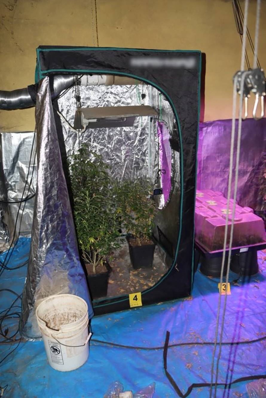 FOTO Muškarac (44) u stanu u Zagrebu uzgajao marihuanu: 'Imao je 226 stabljika konoplje'