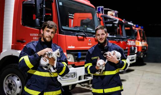 Mijau, mijau! Vatrogasci su sada naši mama i tata. 'Mace su bile neuhranjene i izmorene...'