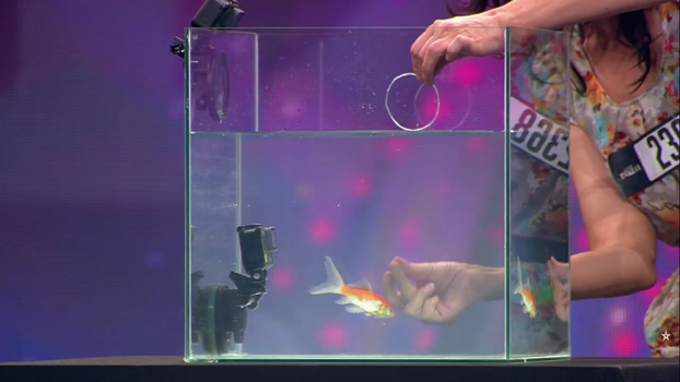 Sjećate li se Kitassa i drugih bizarnih točaka iz Supertalenta?