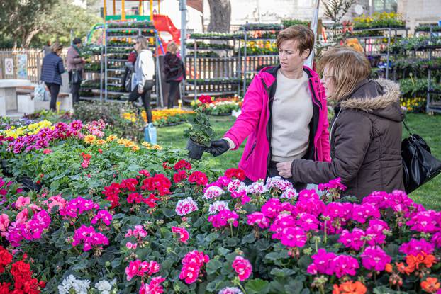 Dubrovnik: Otvoren je Dubrovnik flower market