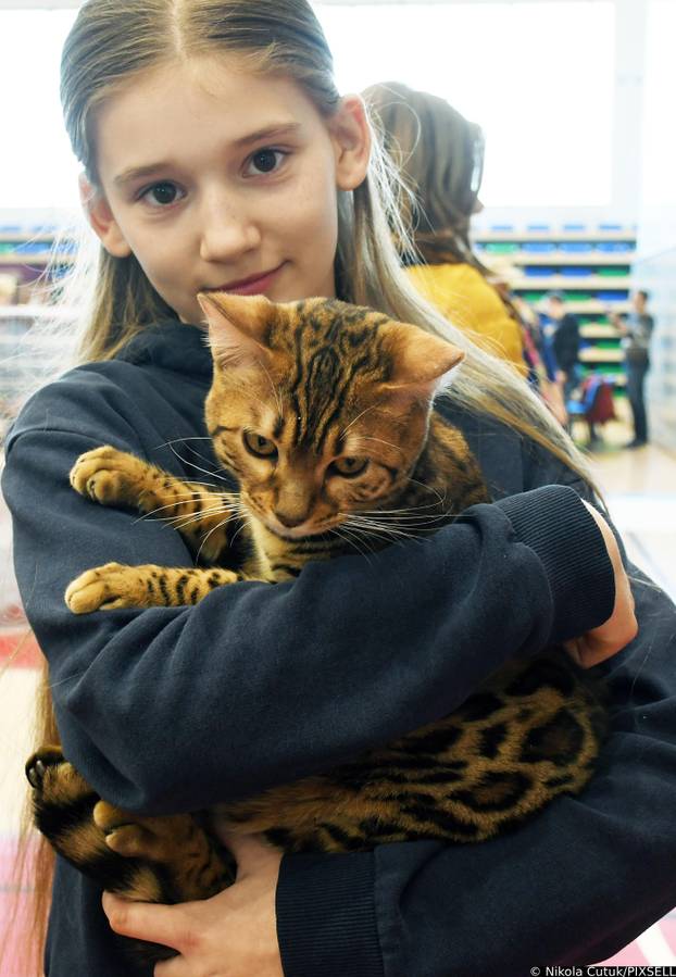 Otvorena revijalna izložba mačaka u Sisku 