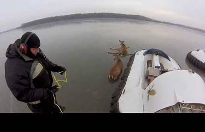 Spasili jelene zarobljene na zaleđenom jezeru
