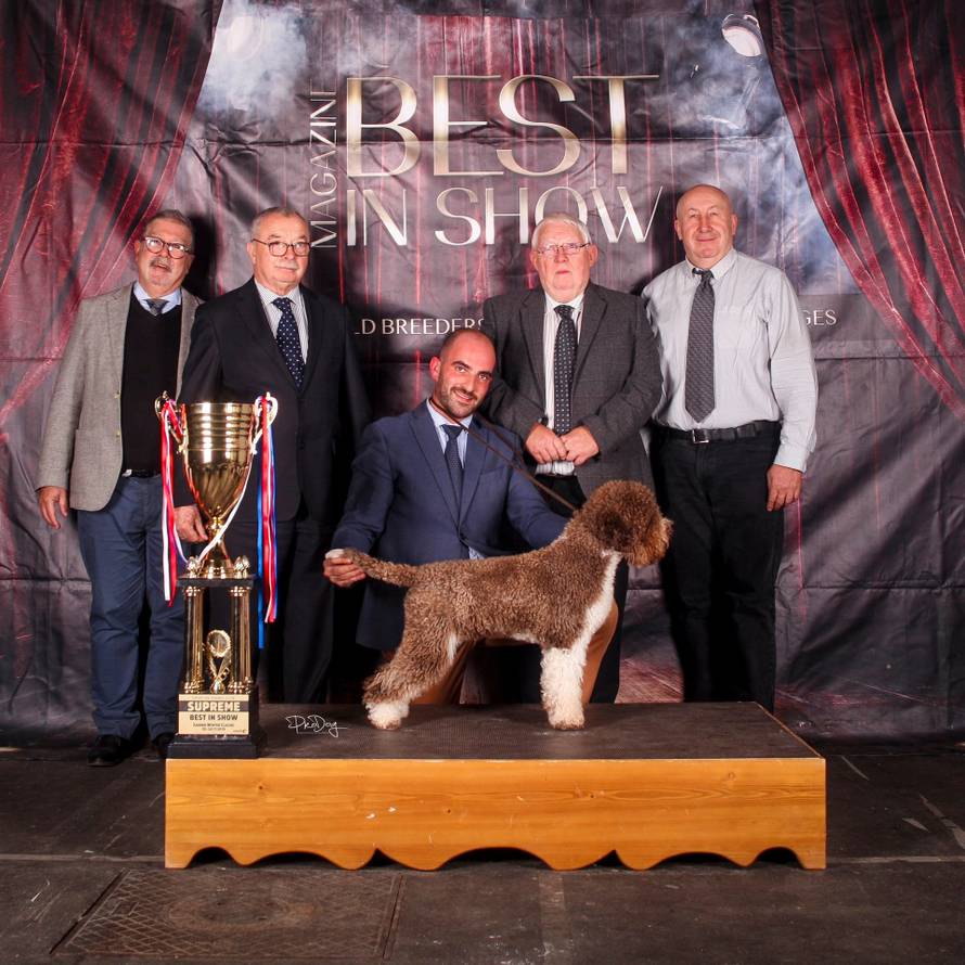 Pseća senzacija: Hrvatska Orca u velikom stilu osvojila Ameriku