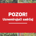 HOROR U OP&Cacute;INI DVOR Zbog zanemarivanja uginulo vi&scaron;e pasa, &scaron;efica udruge u pritvoru!