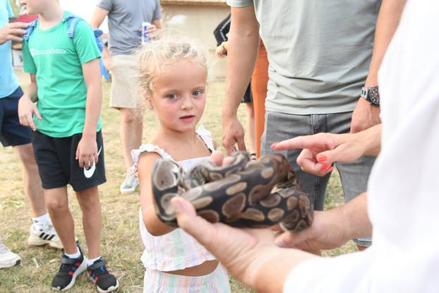 Koprivnica: Otvoren 19. Renesansni festival