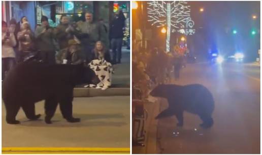 VIDEO Panika na božićnom sajmu! Došao medo, gostio bi se