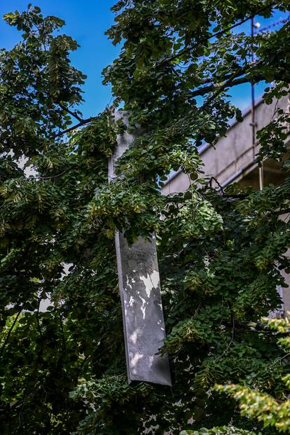 Zagreb: Limeni dio zgrade visi s krošnje stabla u Ulici Lavoslava Ružičke na Vrbiku