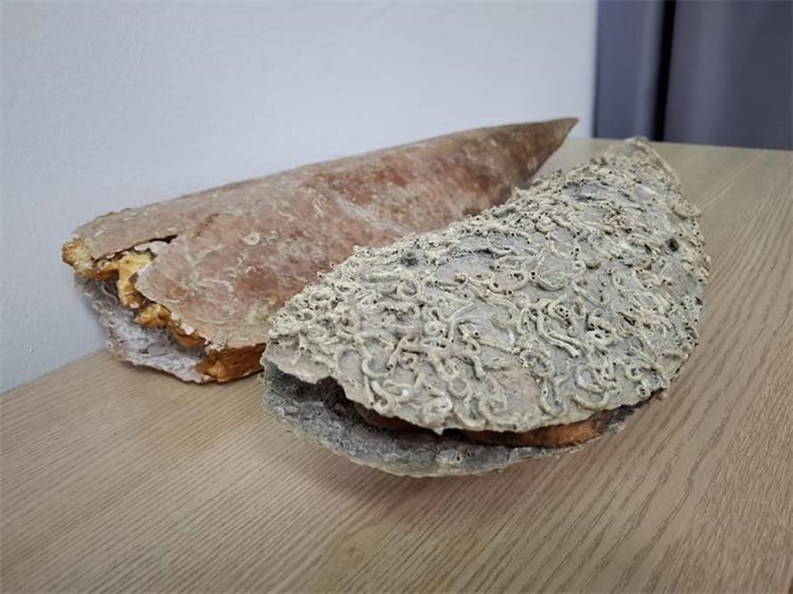 VIDEO Policijski pas nanjušio drogu među povrćem u Trogiru