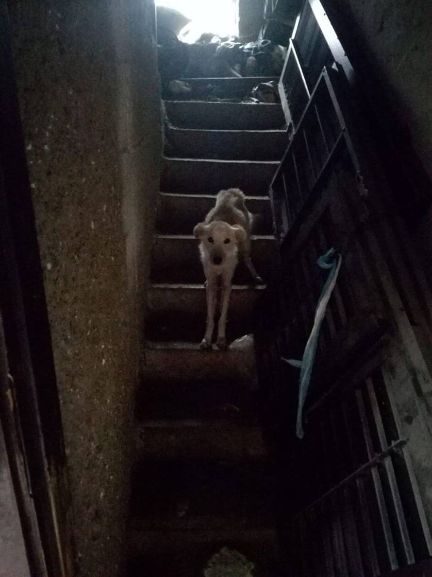 Kad institucije zakažu: 'Bili su na rubu smrti, spasili smo ih!'