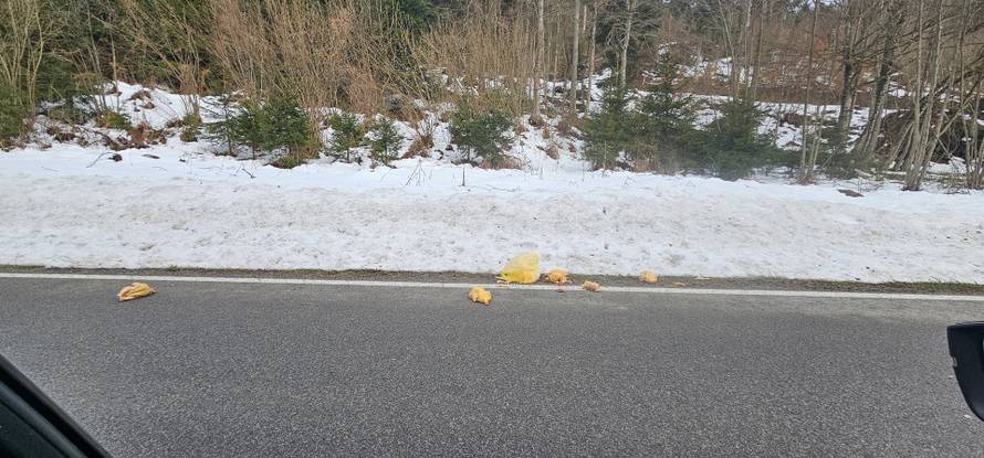 FOTO Pilići se rasuli po cesti blizu Skrada: 'Nije lijep prizor'