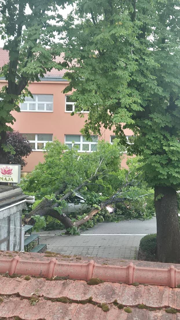 FOTO Kaos u Zagrebu nakon olujnog nevremena! Srušena stabla, skele... 'Bilo je užas!'