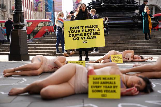 PETA protest