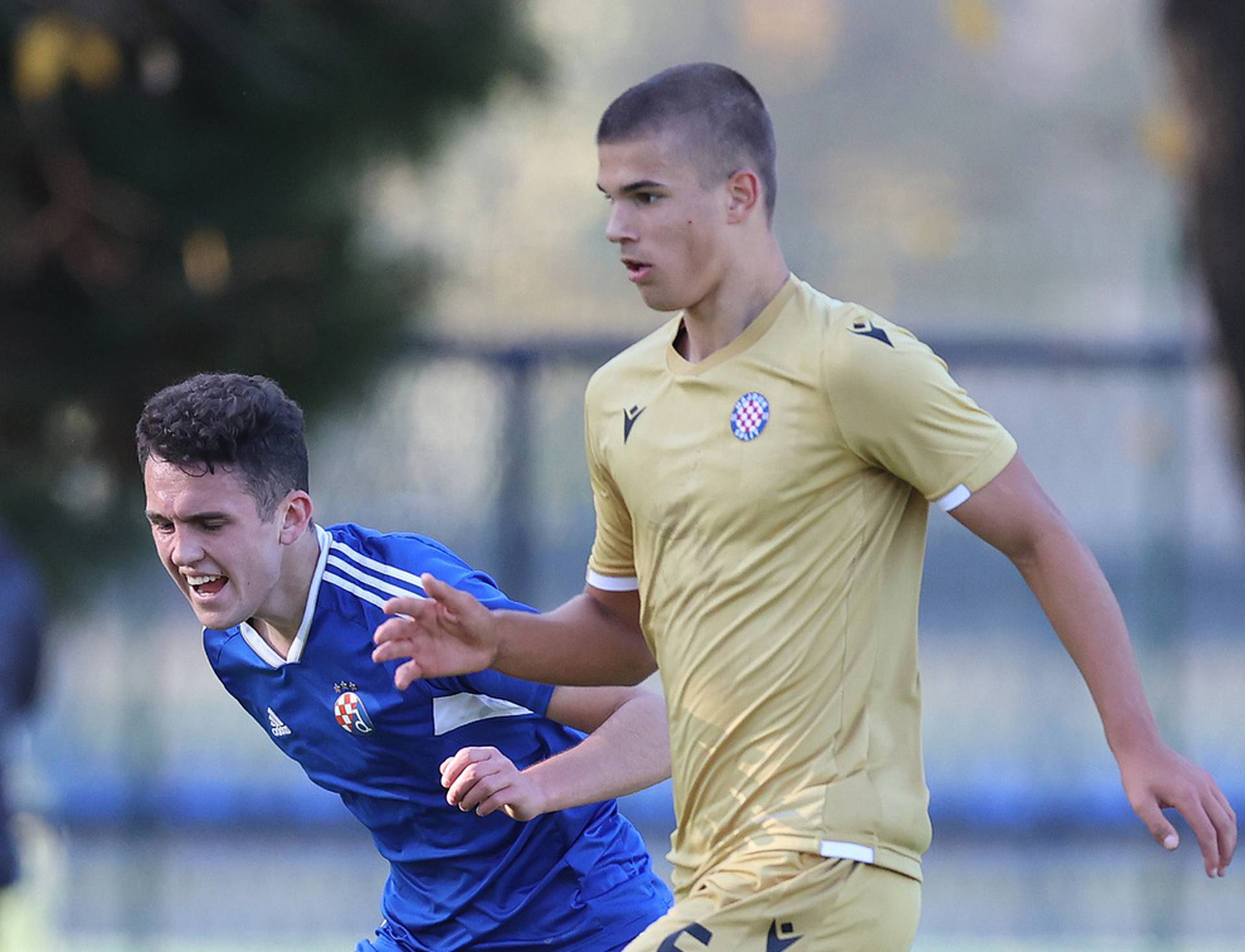 Zagreb: Prva NL Juniori, GNK Dinamo - HNK Hajduk