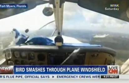 Šokirao se: Ptica mu 'uletjela' u pilotsku kabinu i razbila čelo