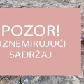 Puljani naletjeli na izbodenog delfina:  'Ležao je u lokvi krvi'