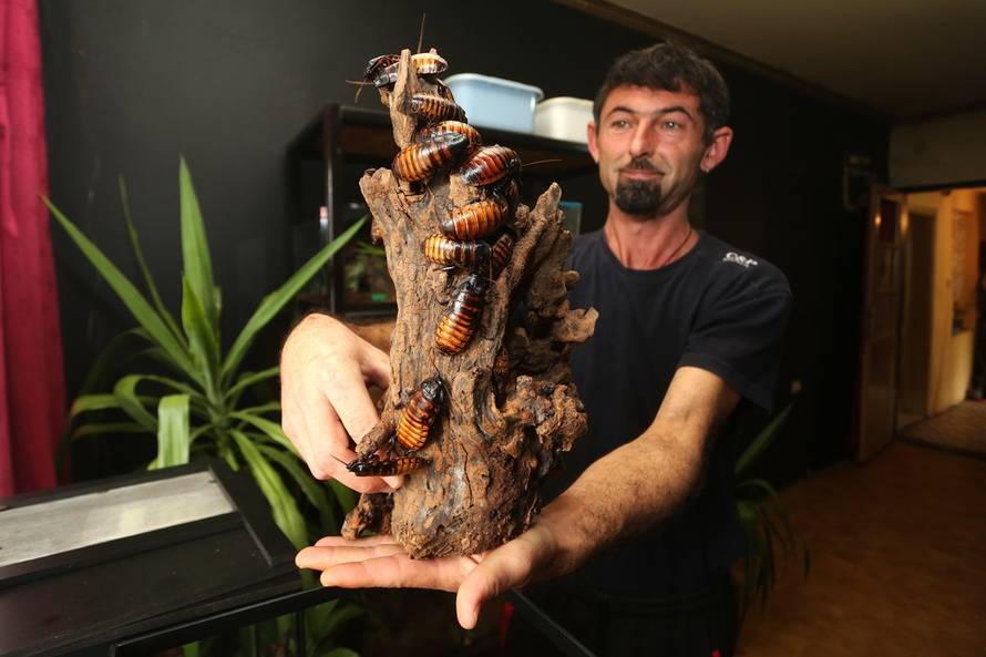 Marko Mrkonjić/Pixsell