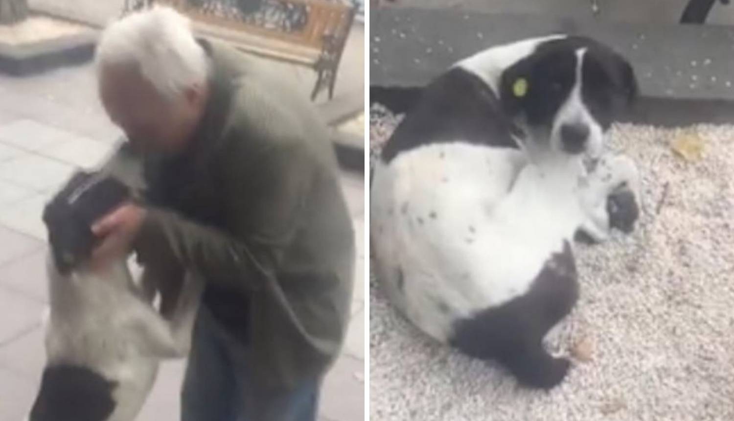 Emocije na vrhuncu: Vlasnik pronašao psa nakon tri godine
