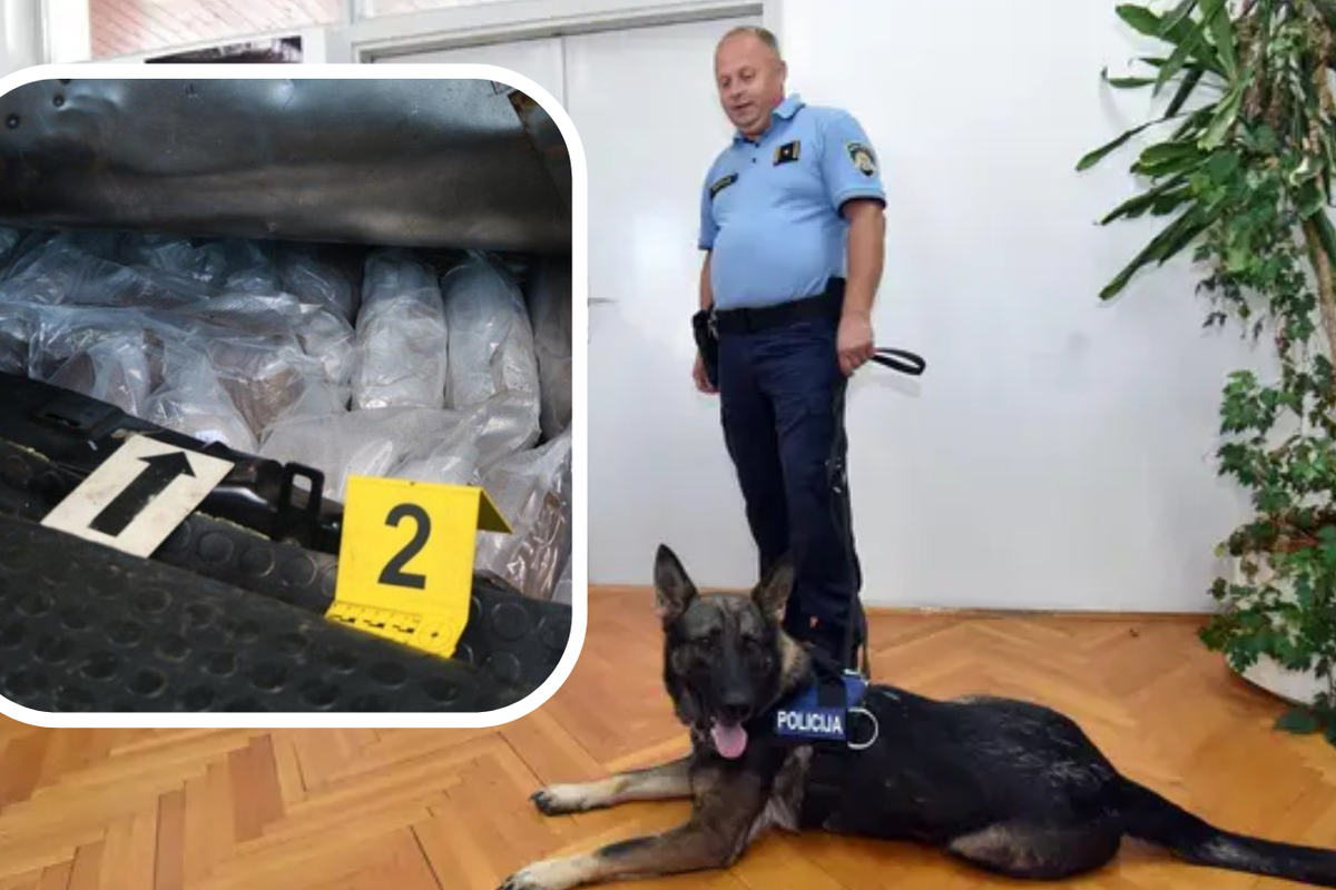 Novi ulov kujice Abe: Na granici u autu nanjušila 16 kila 'trave'