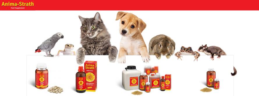 Što se dogodi kada životinja dobije sve što joj je priroda namijenila?