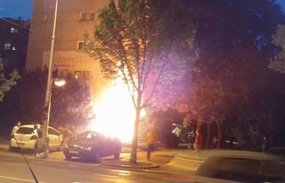 Ispred stambene zgrade u Zagrebu izgorio čempres