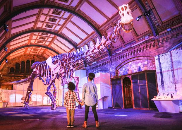 (STRICT EMBARGO until 19.30pm WEDS 29th) Titanosaur: Life as the Biggest Dinosaur photocall, Natural History Museum, London, UK