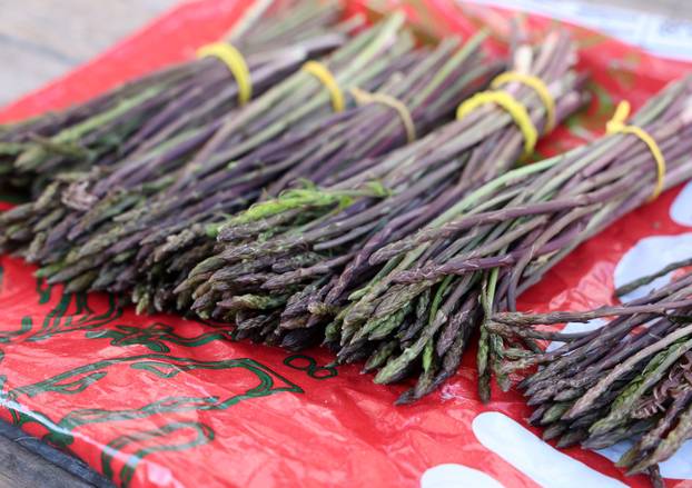 Šibenik:Prve ovogodišnje šparoge na tržnici