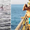 Ronilac o stravičnom napadu morskog psa u Egiptu: 'Turisti bacaju hranu, to ga je privuklo'