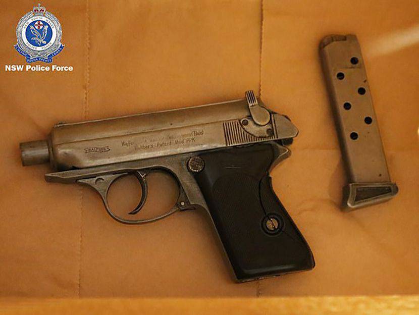 Srpkinji u stanu našli pištolje, pušku, drogu i milijun dolara