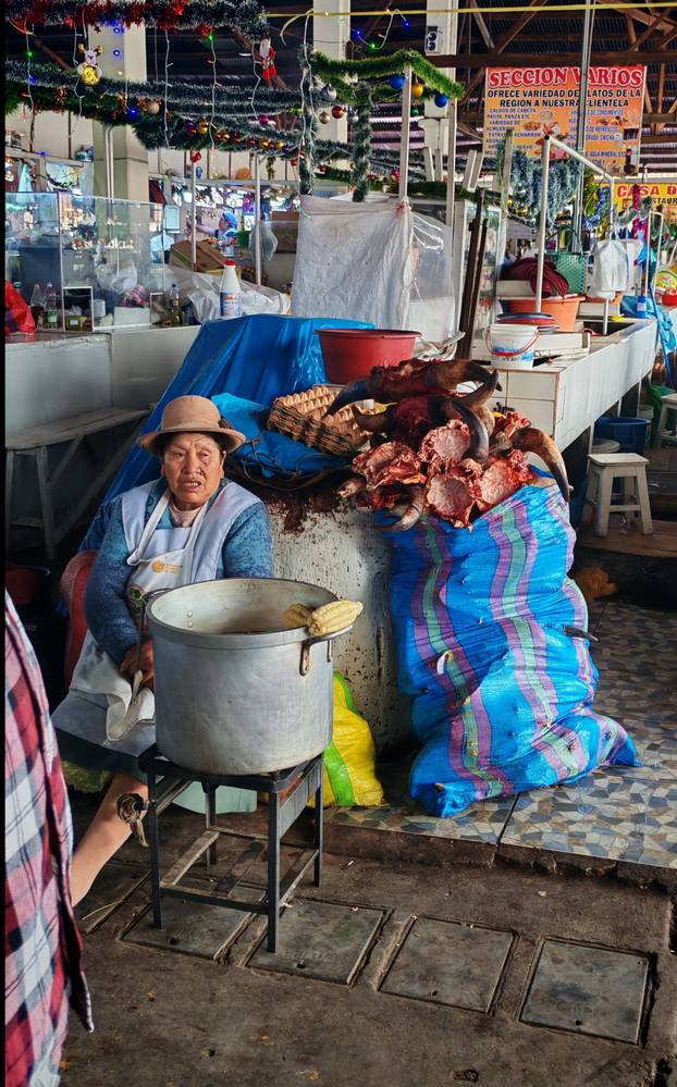 FOTO Par iz Dalmacije motorima obišao cijelu Južnu Ameriku: Pogledajte te prirodne ljepote!