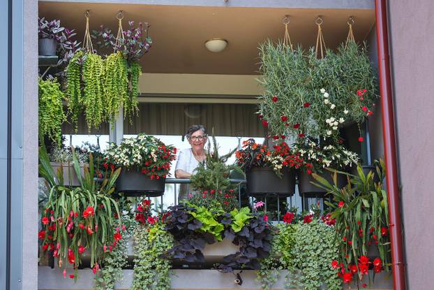 Zagreb: Jasenka Marija Kaštelan ima najljepši vrt na balkonu i ispred zgrade 
