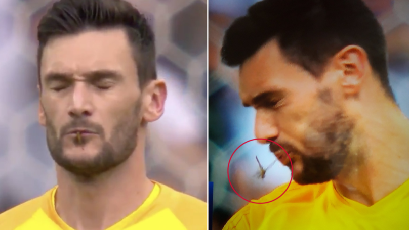 Bon appetit Hugo! Lloris skoro pojeo skakavca tijekom igre...