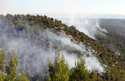 Vatrogasci se borili s požarom kod Nacionalnog parka Krka