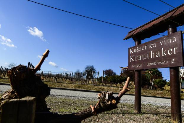 Kutjevo: Vinarija Krauthaker