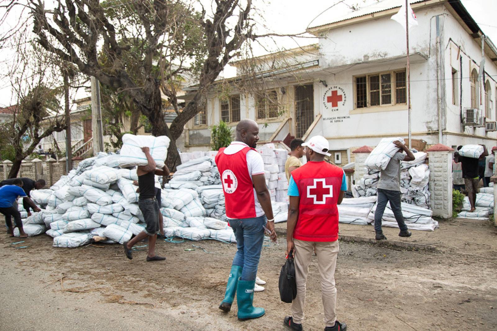 Red Cross teams receive emergency shelter supplies in Beira