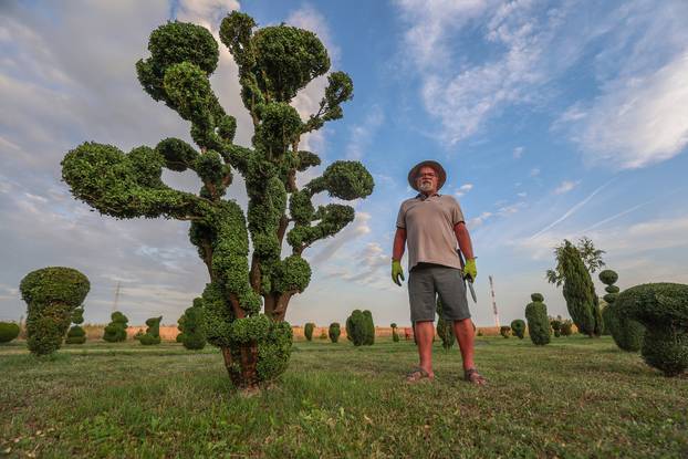 Bajkoviti vrt u srcu Međimurja: Prvi i jedini Topiary park u Hrvatskoj krije se u Sračincu