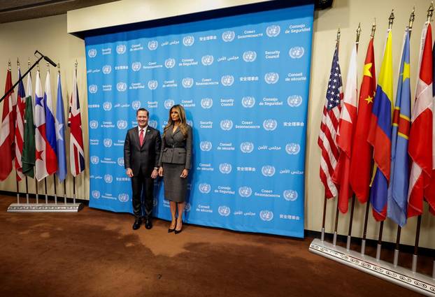 United Nations Security Council meeting in New York City