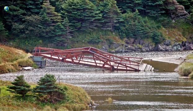 FOTO Evo kako bi izgledalo da ostanete posljednji čovjek na svijetu:  Priroda preuzima sve...