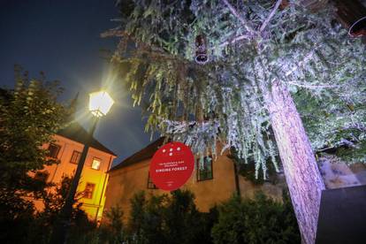 Instalacijom 'Singing Forest' u Zagrebu je počelo 3. izdanje umjetničkog projekta 'Okolo'