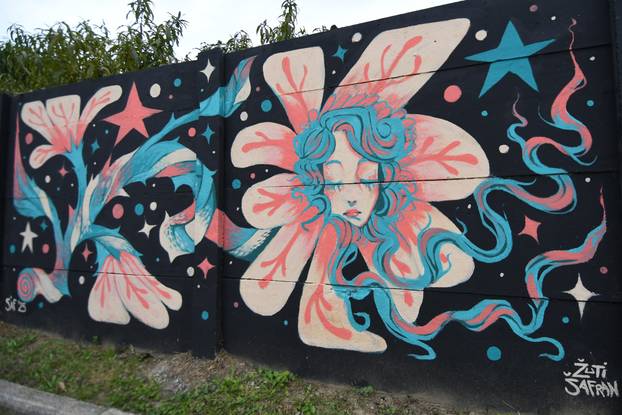 Koprivnica: Gradske površine obogaćene su novim muralima nakon Street Art Festivala