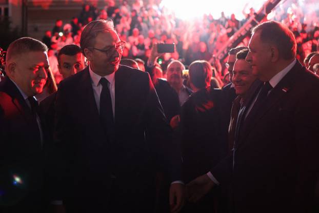 Serbian Progressive Party (SNS) candidate for Prime Minister Aleksandar Vucic attends a pre-election rally in Novi Sad