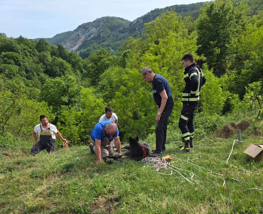 Drama u Lopači: Vatrogasci i mještani spasili tek rođeno ždrijebe iz duboke provalije