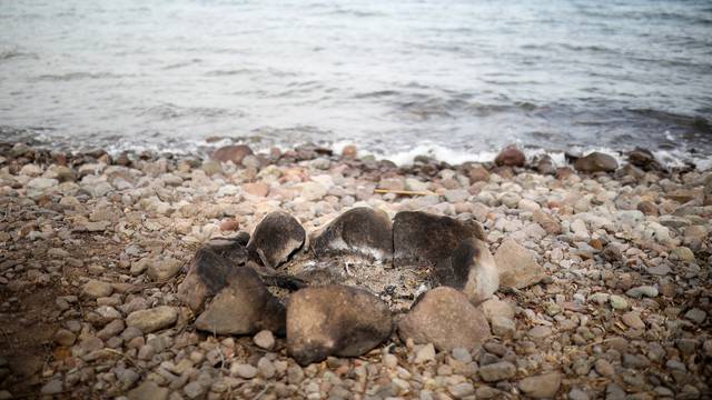 Malo selo Skala Sikaminias na otoku Lesbos 