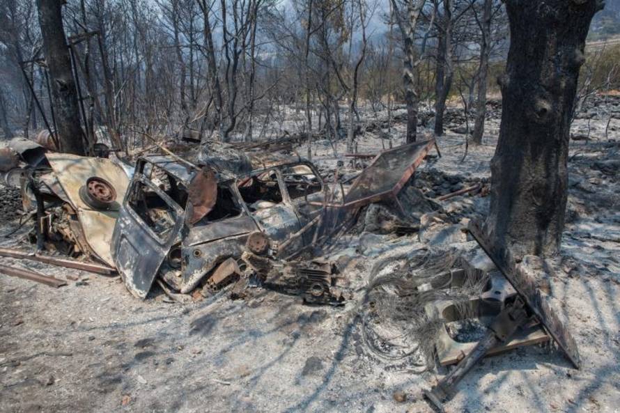 Grgo Jelavic/PIXSELL 