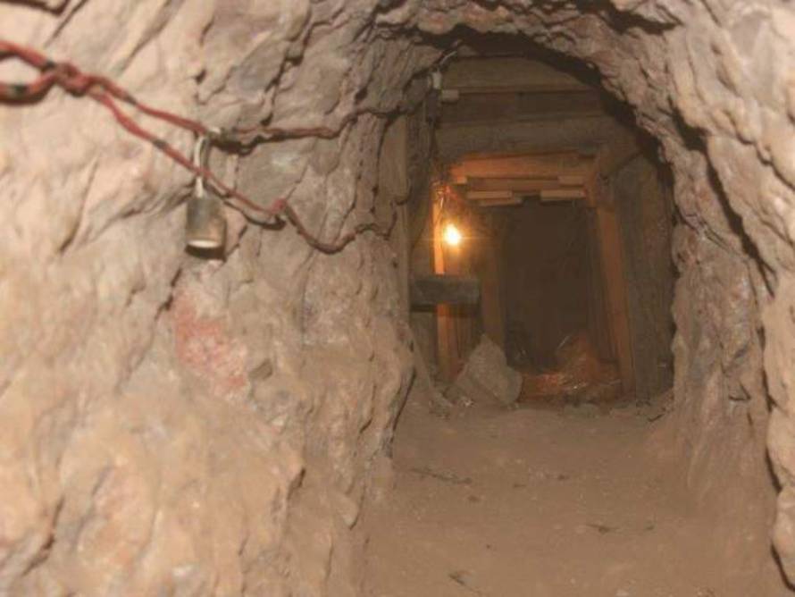 Department of Homeland Security