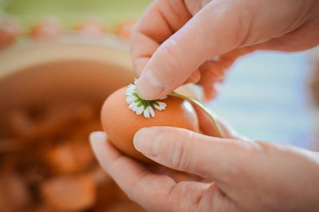 Zagreb: Tradicionalno bojanje uskršnjih jaja