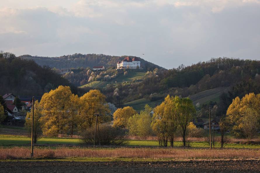 Kod Dvora Velik Tabor top usmrtio muškarca