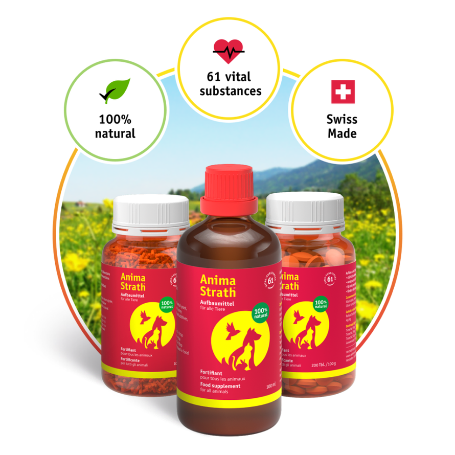 Što se dogodi kada životinja dobije sve što joj je priroda namijenila?