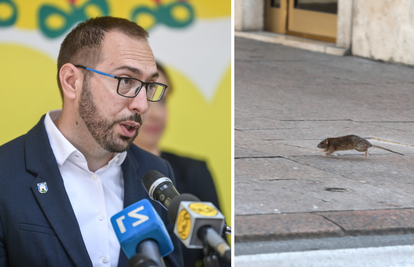 HDZ: 'U Zagrebu je sve više štakora, a gradonačelnik sve to ignorira. Idemo prema kaosu'